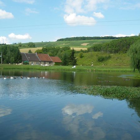 多美因磨坊亿唐酒店 Châtillon-sur-Marne 外观 照片