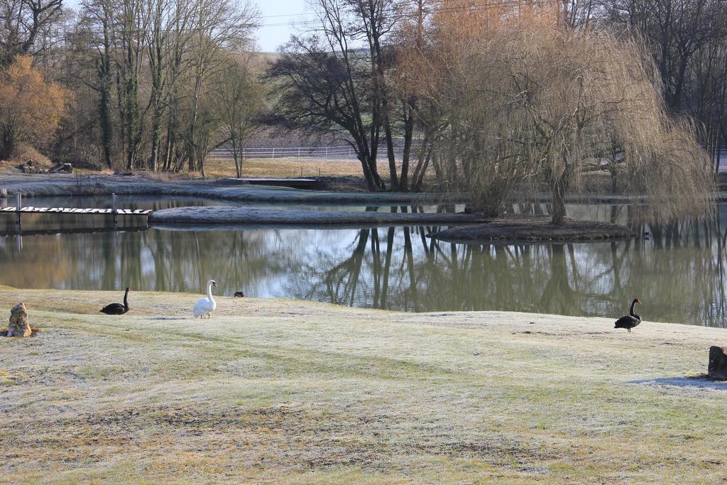 多美因磨坊亿唐酒店 Châtillon-sur-Marne 外观 照片