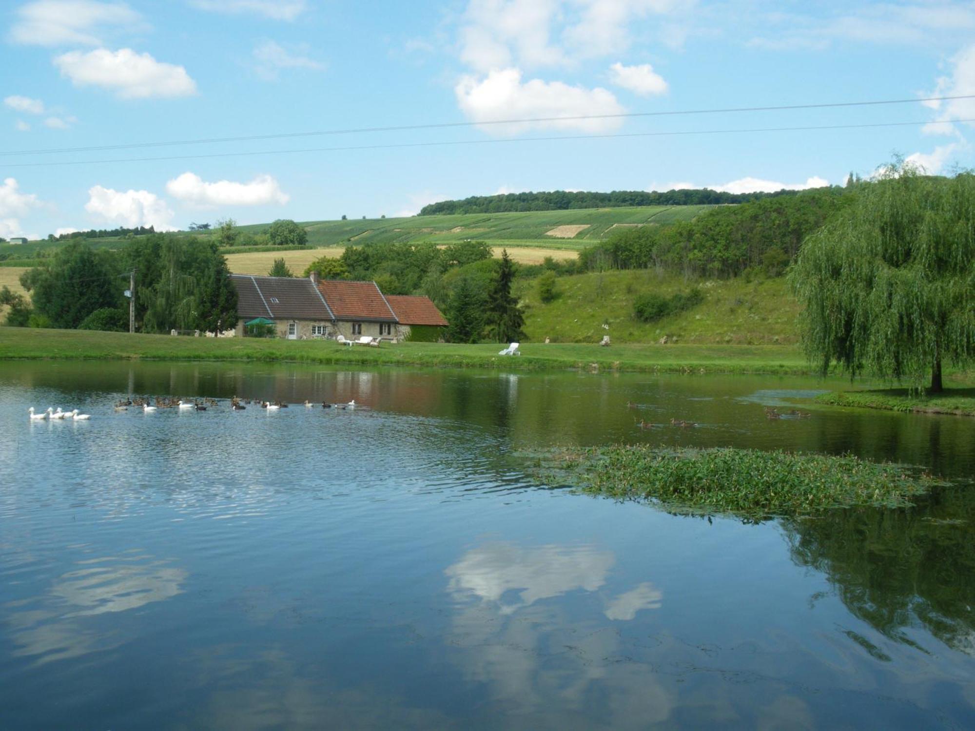 多美因磨坊亿唐酒店 Châtillon-sur-Marne 外观 照片